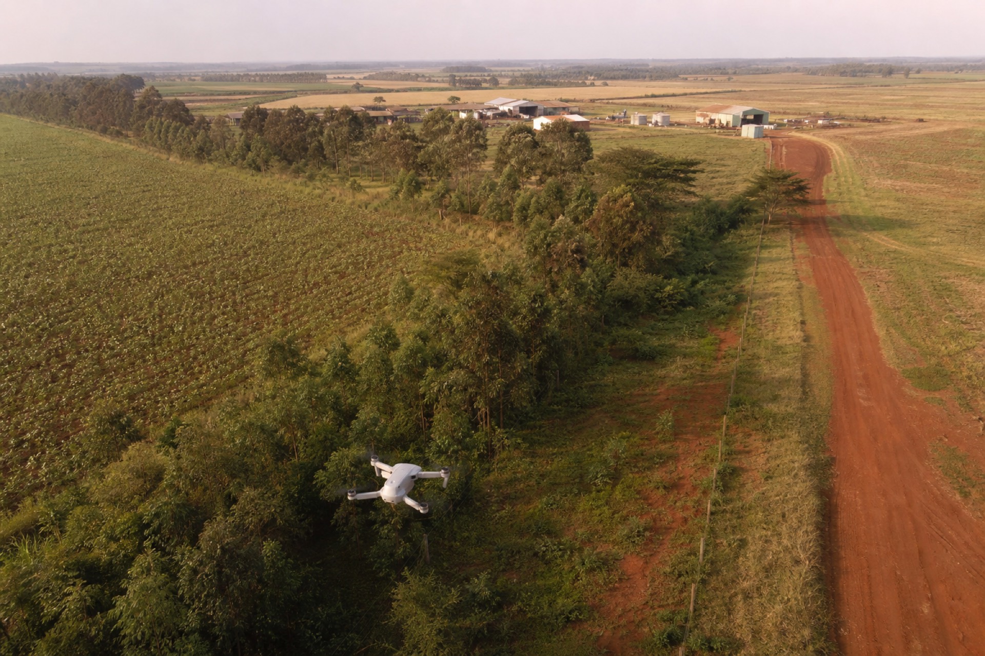 A small drone flying a daytime patrol along an estate tree line and access road